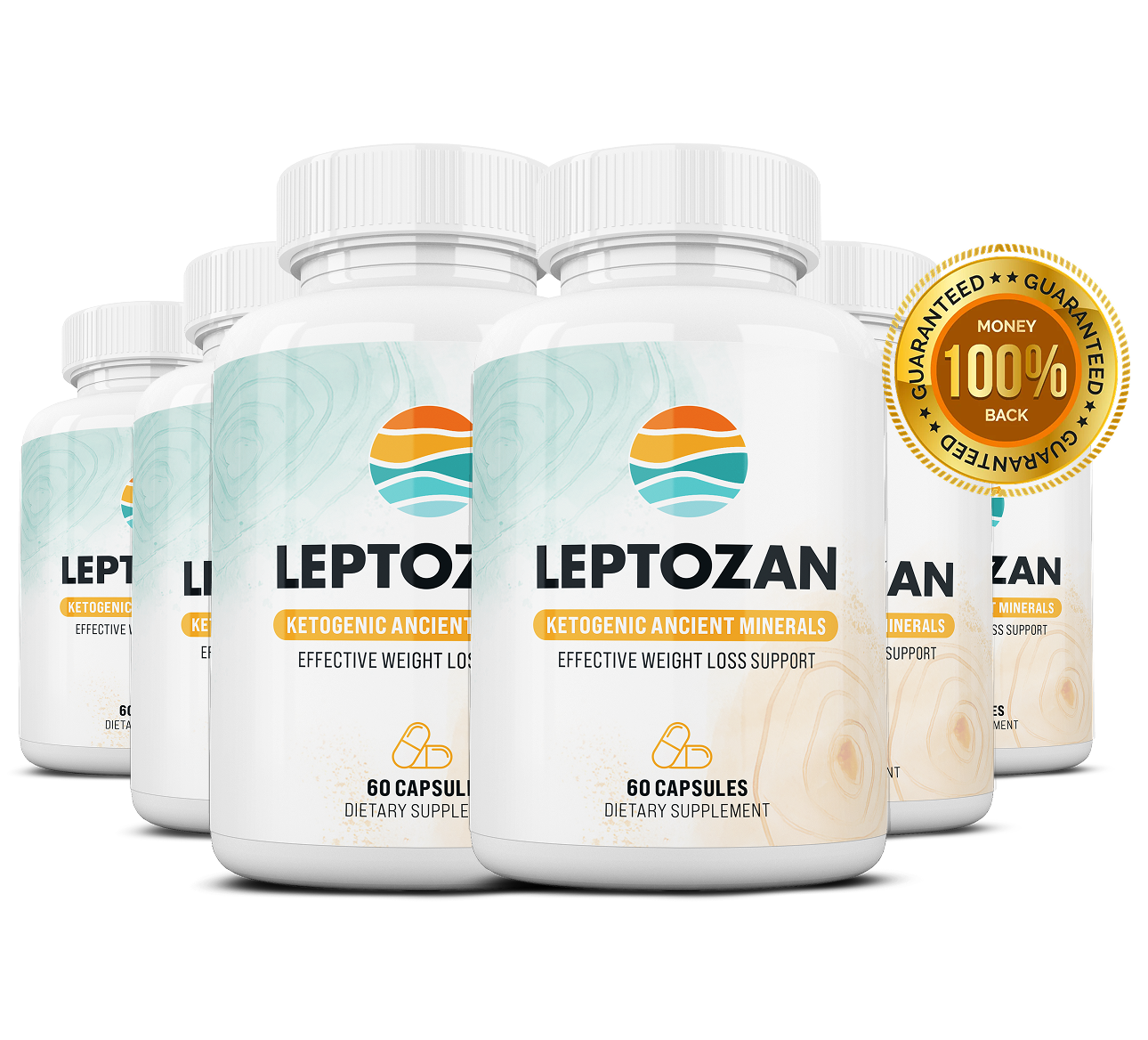 Leptozan 6 bottle best value package